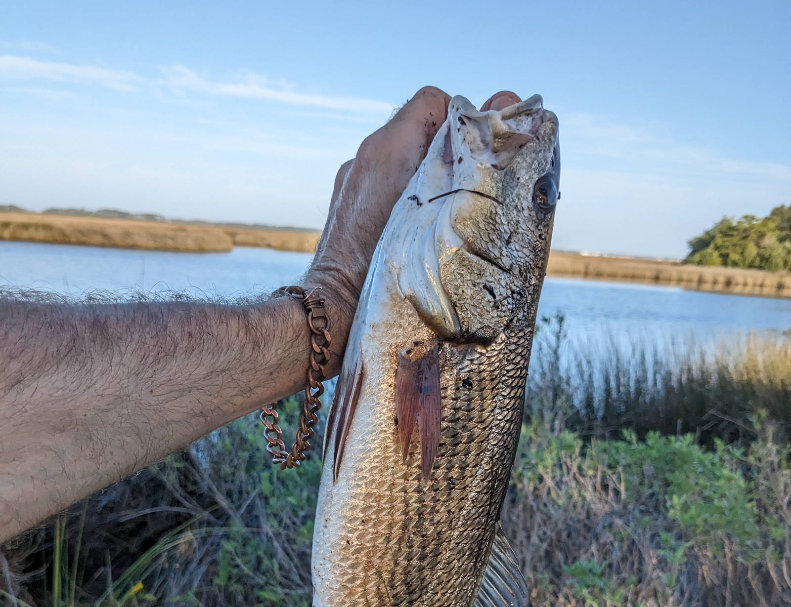 PXL_20231006_123442920 1