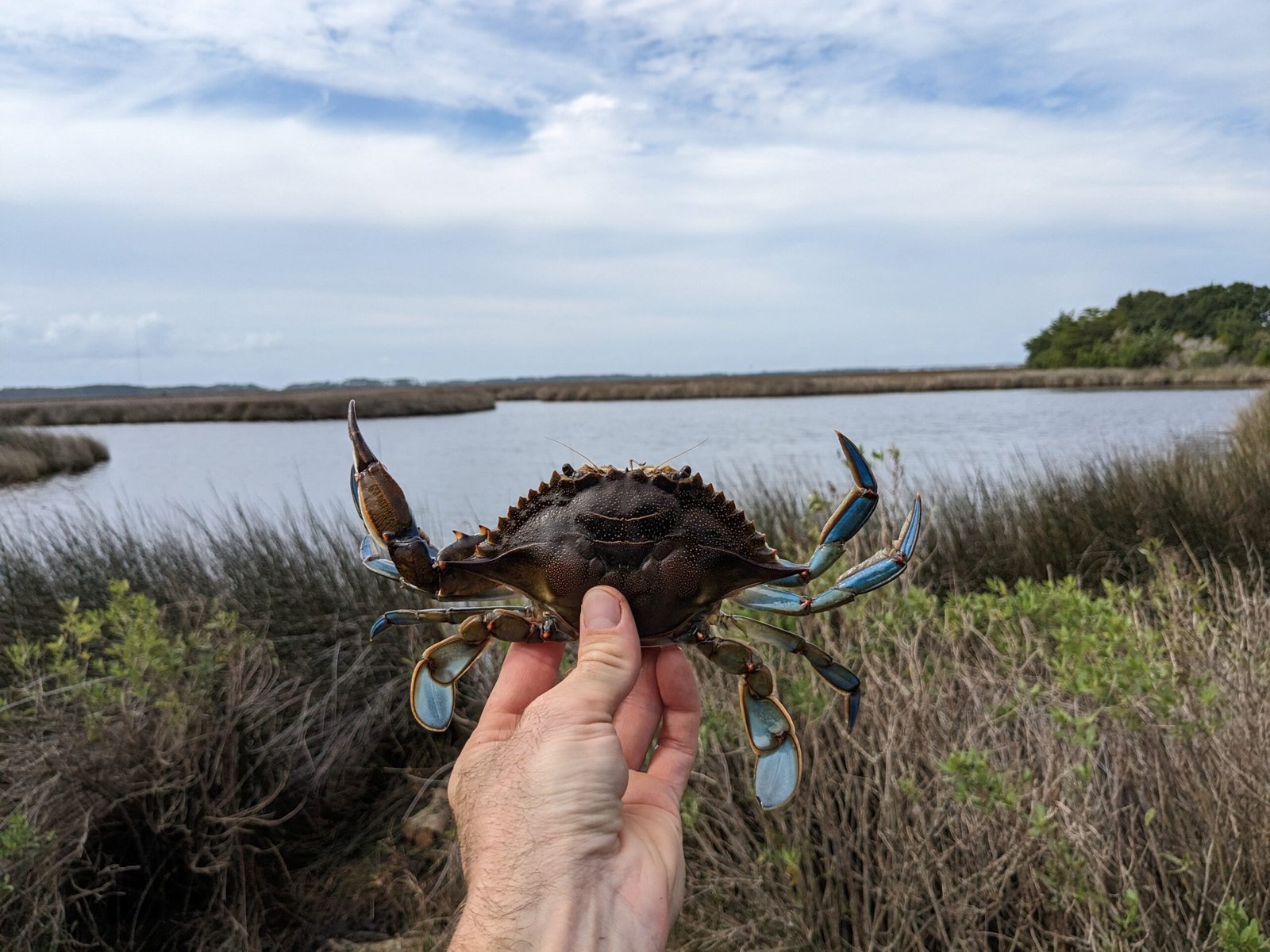 PXL_20231006_175519416