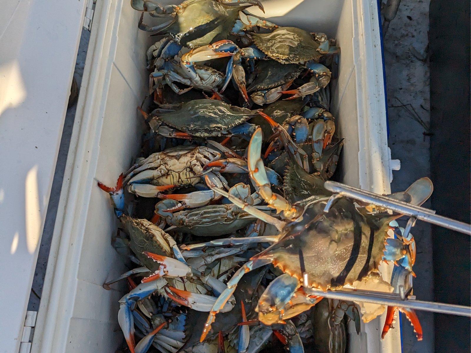 PXL_20231009_212440741 1